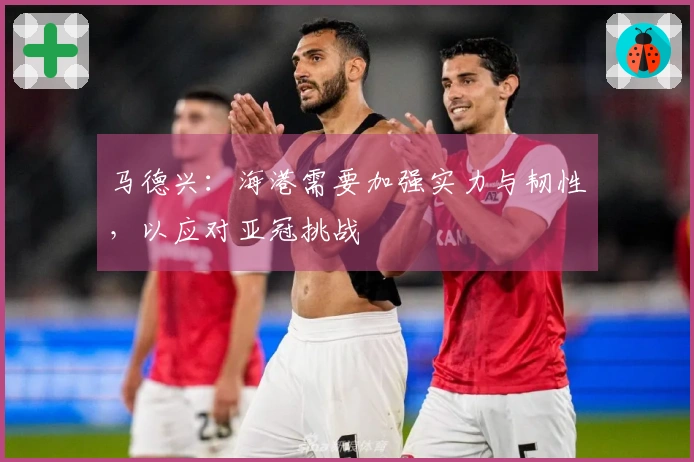 马德兴：海港需要加强实力与韧性，以应对亚冠挑战