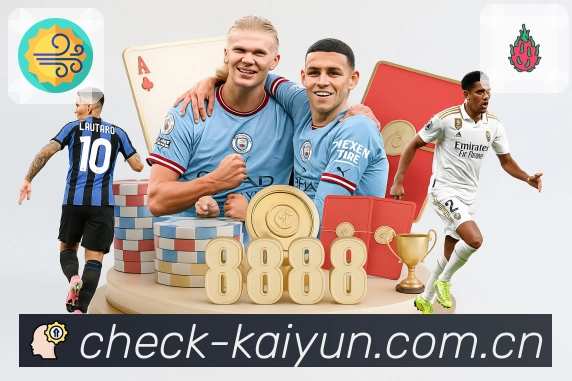 <strong>开云App</strong>界面展示